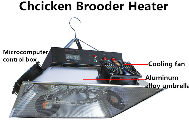 Brooder Heater13.jpg