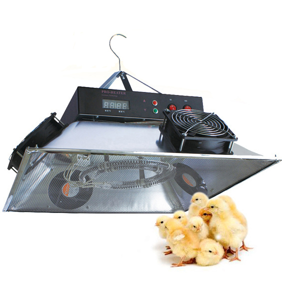 Electric Infrared Brooder Heater