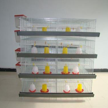 Baby Chick Cage