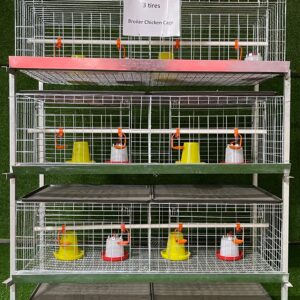 H Type Chicken Cage 3 Layers 2 Doors