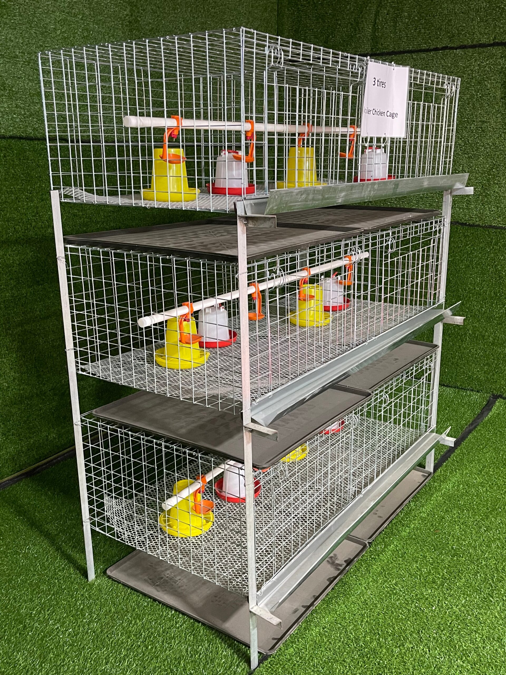 H Type Chicken Cage 3 Layers 2 Doors - Image 2