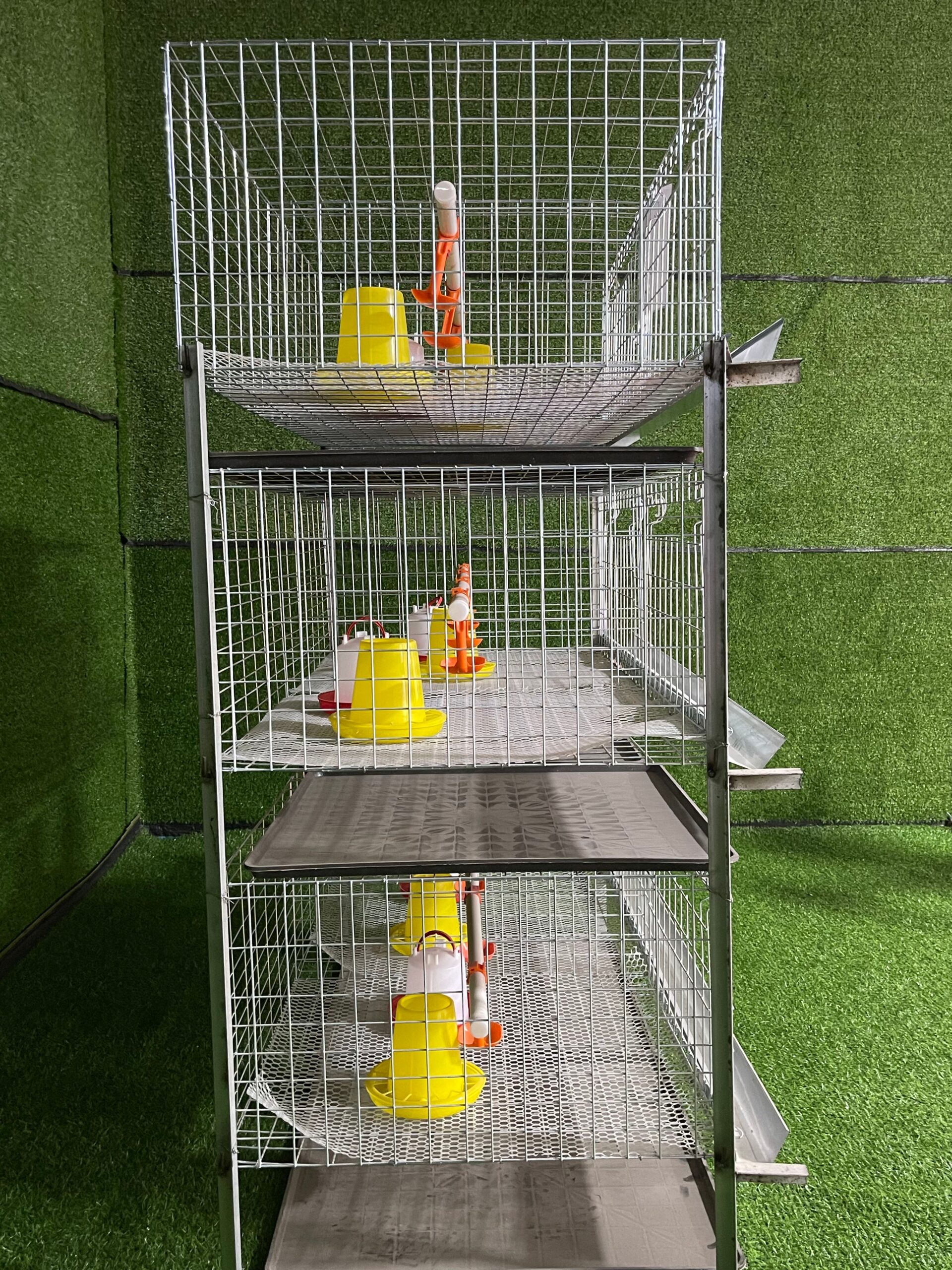 H Type Chicken Cage 3 Layers 2 Doors - Image 3