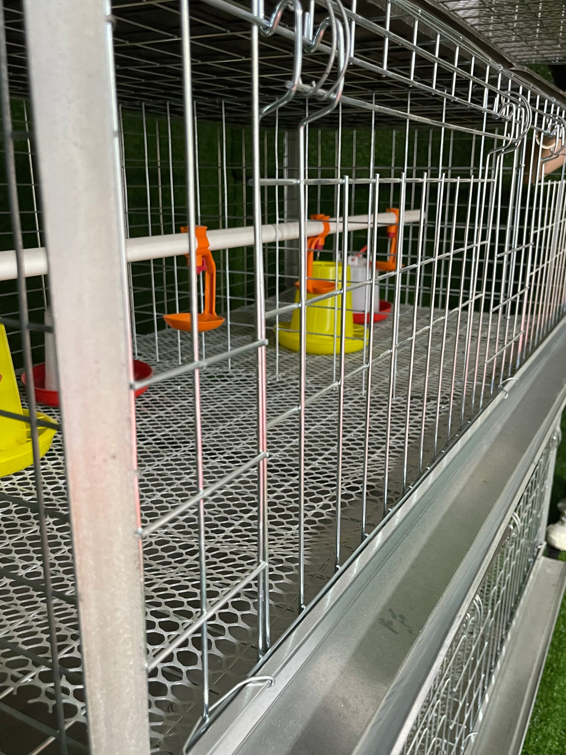 H Type Chicken Cage 3 Layers 2 Doors - Image 4