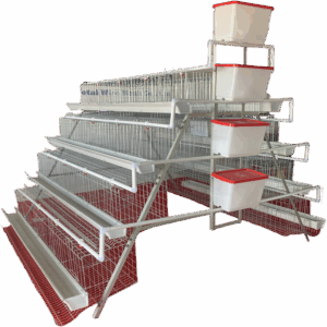 chicken cage1