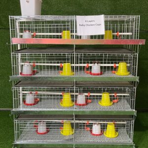 H Type Chicken Cage 4 Layers 2 Doors