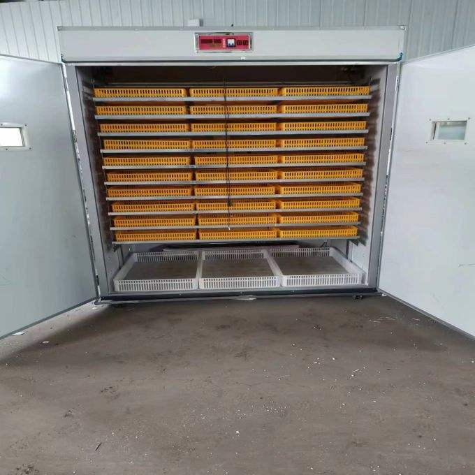 Automatic Eggs Incubator Machine - Image 3