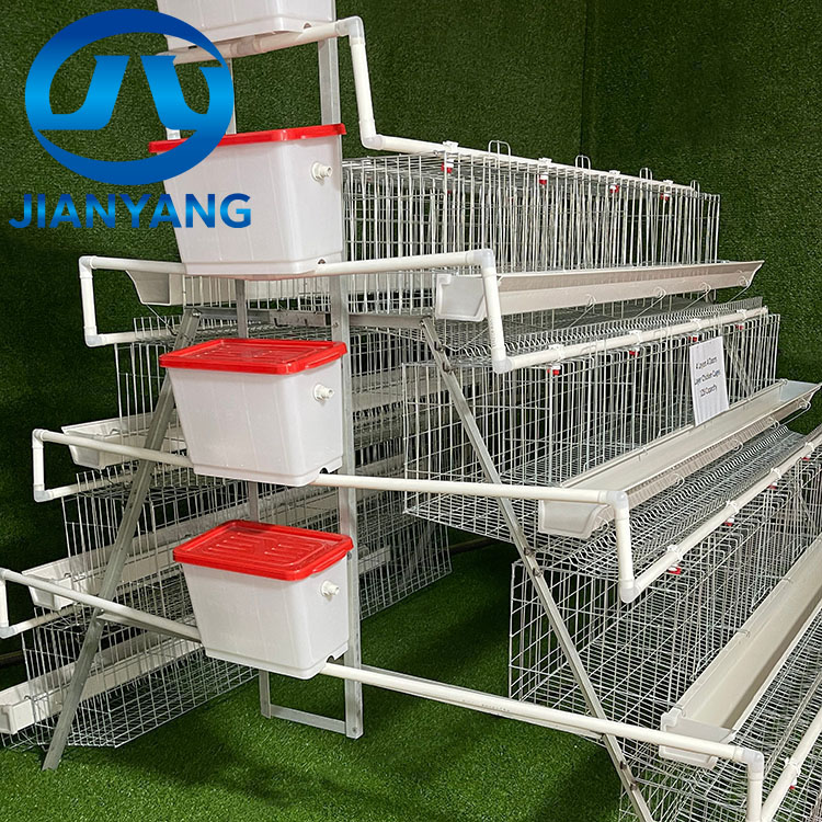 A Type Chicken Cage -4 Layers 4 Doors - Image 3